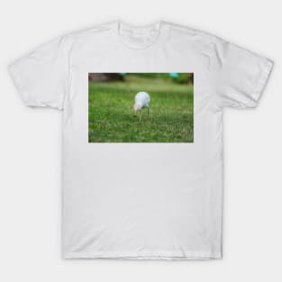 Cattle Egret T-Shirt